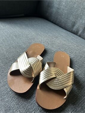 H&M Metallic Bronze Flat Sandals

(H&M size 38= 7.5 women’s size)